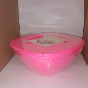 12" bowl with Lid